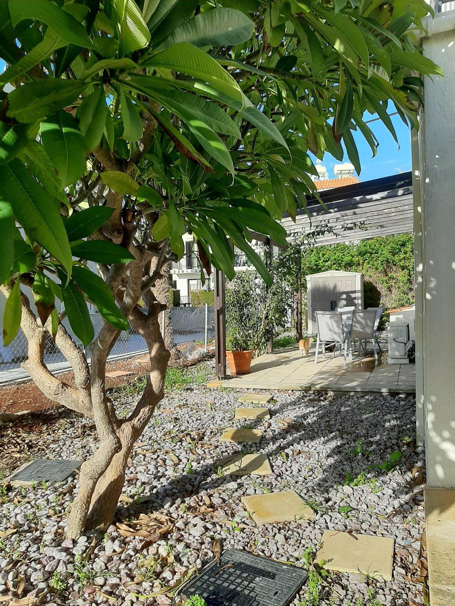 Apartmán H&O Royal Townhouse In Center Paphos Exteriér fotografie